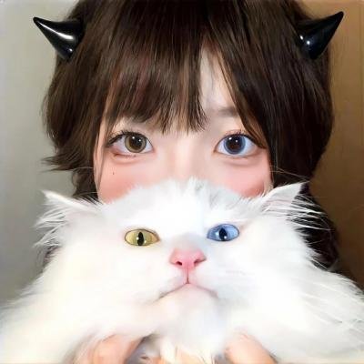 隆美尔宝藏